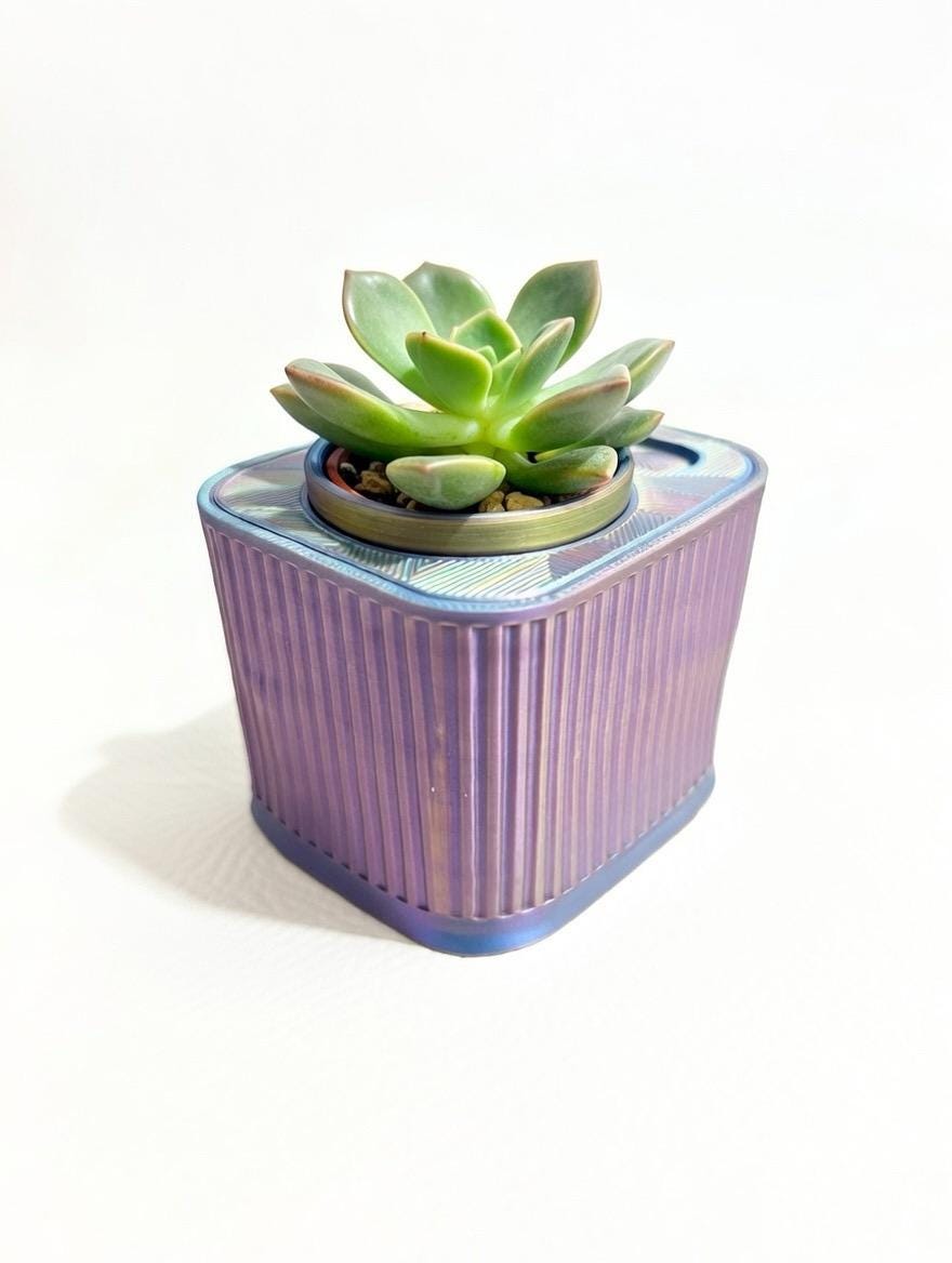 Self-Watering Planter with Built-In Reservoir – Modern Indoor Plant Pot for Succulents & Houseplants